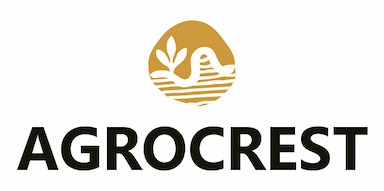 Client logo 9